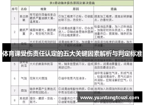 体育课受伤责任认定的五大关键因素解析与判定标准