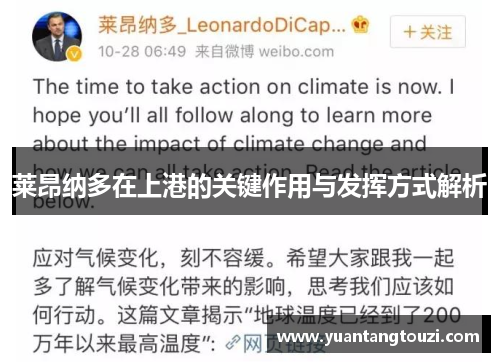 莱昂纳多在上港的关键作用与发挥方式解析 莱昂纳多在上港的关键作用与发挥方式解析